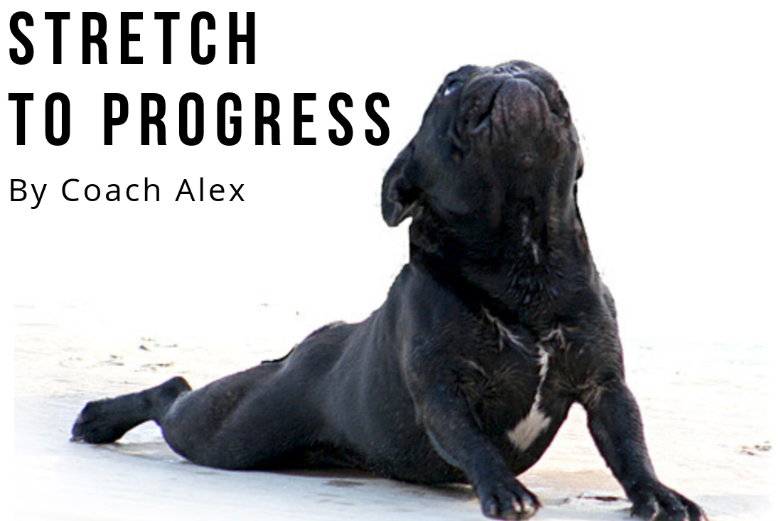 Stretch to progress